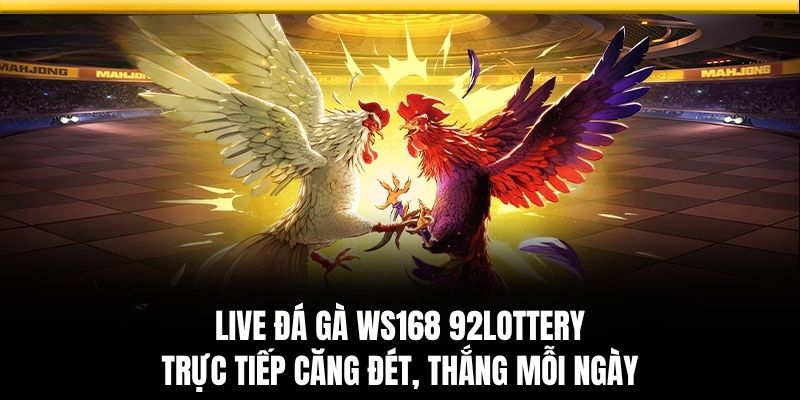 Live Đá Gà WS168
