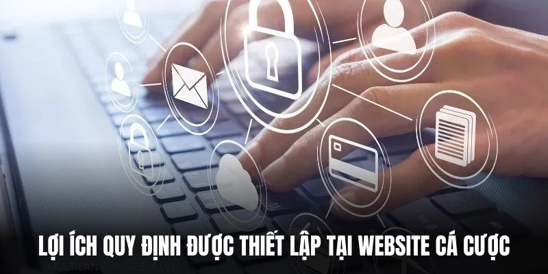 Lợi ích quy định được thiết lập tại website cá cược.